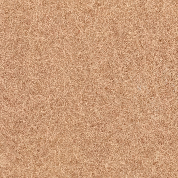 XERO Walnut Scrub Pad Zoomed View
