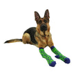 XERO Socks Dog View